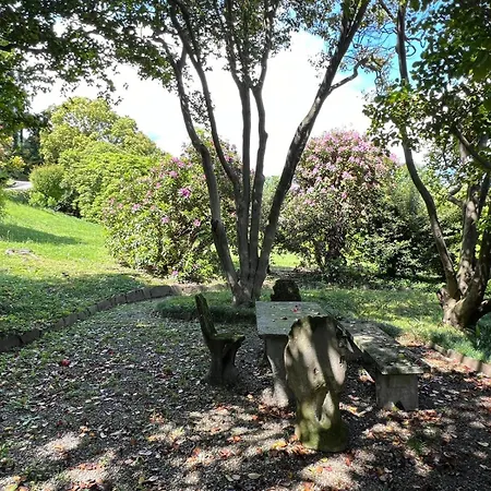 Appartement Camelia *