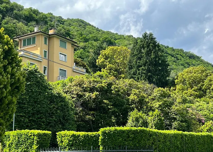 Camelia Apartamento *