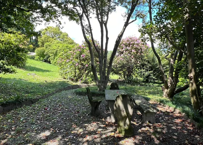 Apartamento Camelia *