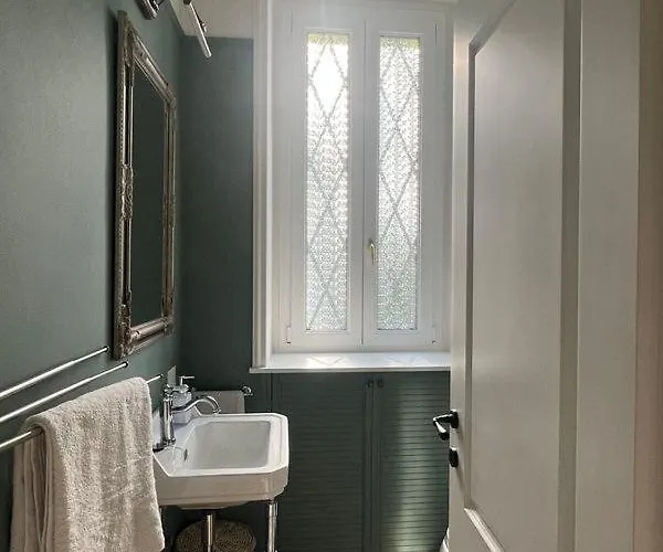 Camelia 벨지라테